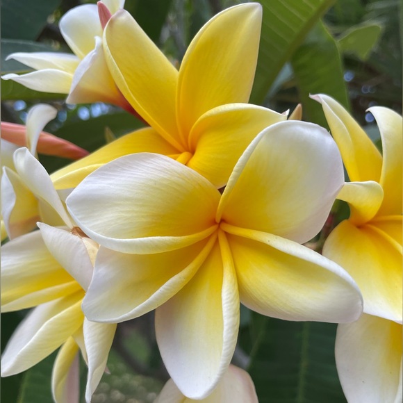 Meet us! One With The Sea - Picture 2 of 10